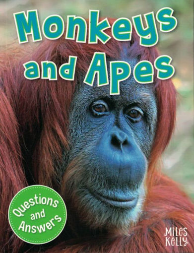 Picture of QUESTIONS AND ANSWERS MONKEYS AND APES